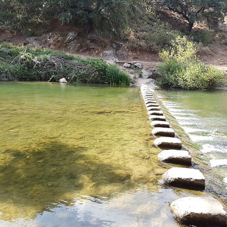 Villa Cristina Benaoján Dış mekan fotoğraf