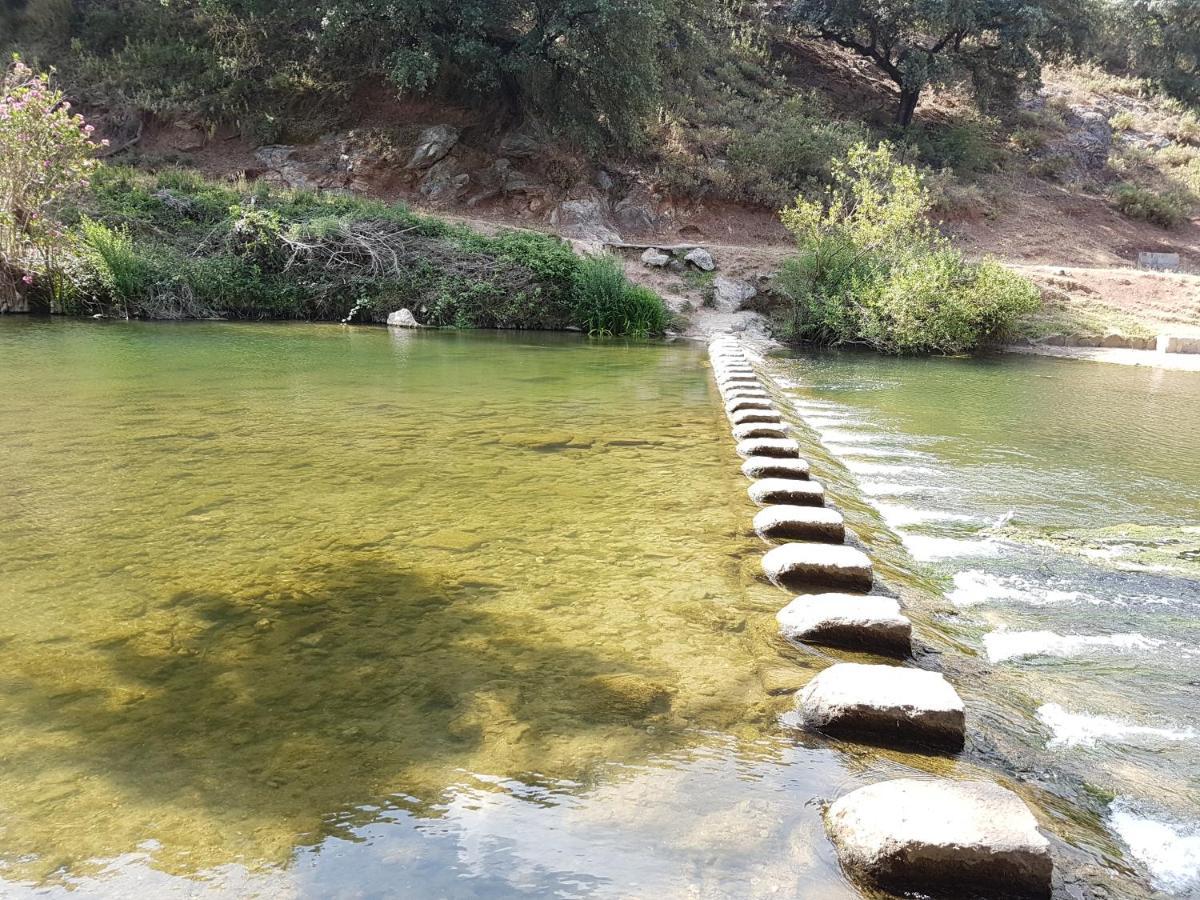Villa Cristina Benaoján Dış mekan fotoğraf