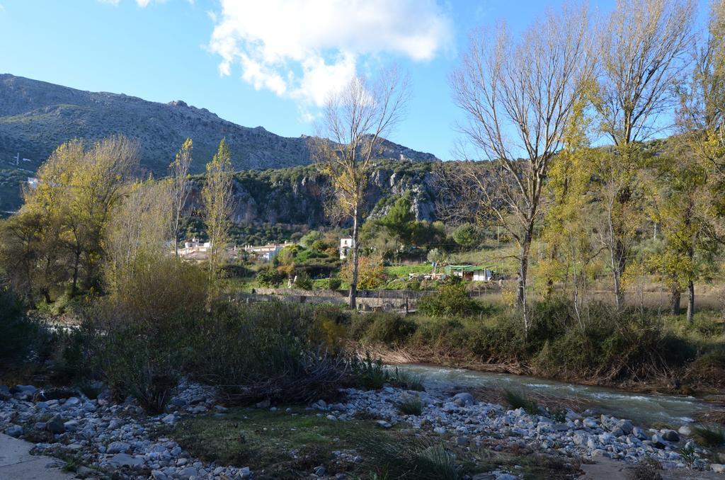 Villa Cristina Benaoján Oda fotoğraf