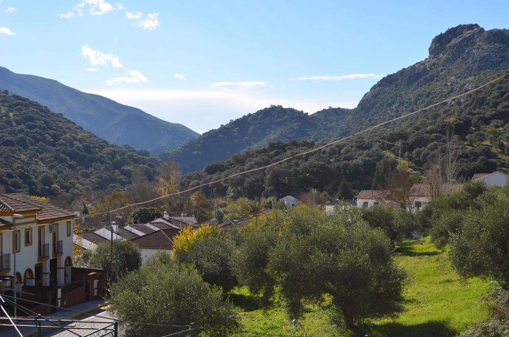 Villa Cristina Benaoján Dış mekan fotoğraf